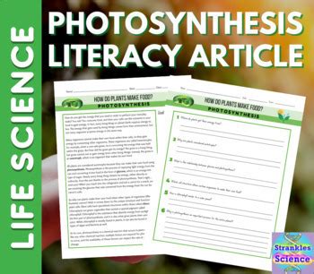 Photosynthesis Reading Comprehension Article Activity By Strankles