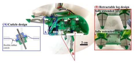 Burrowing Robot Takes Inspiration From The Pacific Mole Crab Globalspec