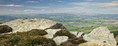 Wildlife • Northumberland National Park