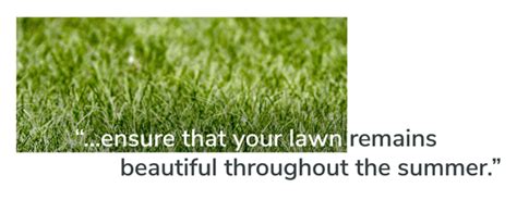 Drought-Resistant Grass Seed For Your Home