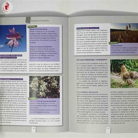 Plantes M Dicinales Soigner Les Animaux Avec Les Plantes M Dicinales