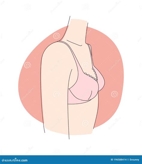 The Puberty Teenage Girl And Breast Development Wears Pink Bra Stock