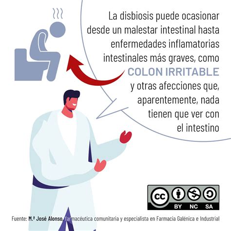 Consejos Sobre Disbiosis Intestinal