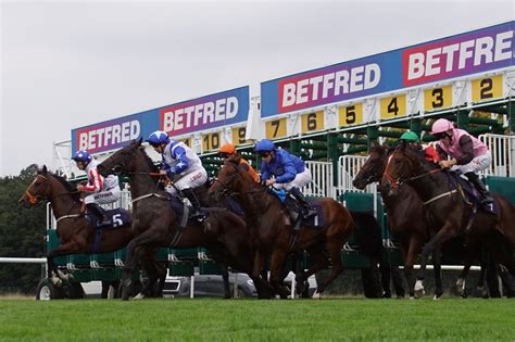 St Leger Festival 2023 / Doncaster Races - 2023. / 2023 Galleries ...