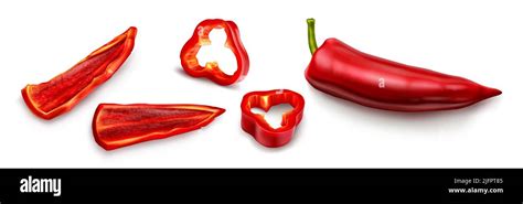 Red Chili Pepper Hot Spicy Plant Pod Paprika Cayenne With Green Stem Vector Realistic