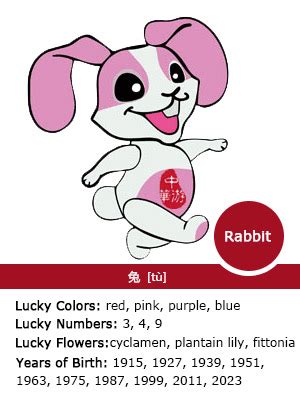 Rabbit Chinese Zodiac Sign Symbolism