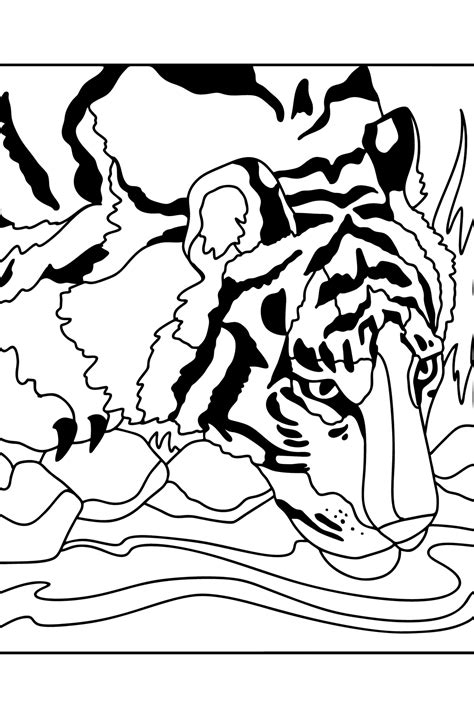 coloring pages of tigers 1