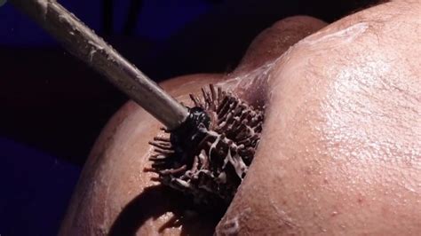 Brush Fucked Analy Pornhub Gay