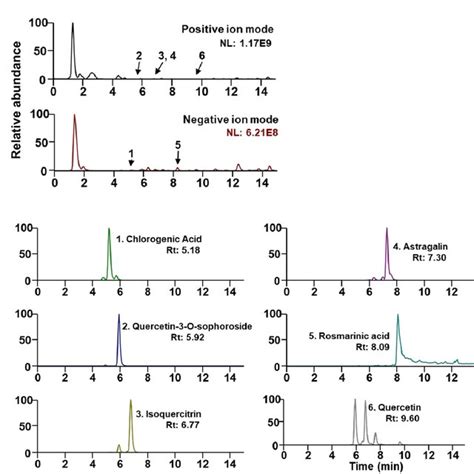 Uhplcms Ms Analysis Of Hr A Base Peak Ion Chromatograms In Positive