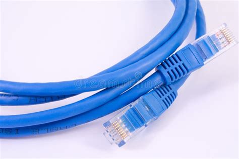 Network Cable Patch Cord Stock Photo Image Of Switch 36442920