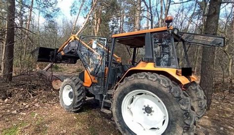 Lubelskie Tragiczny Wypadek Podczas Wycinki Pie Przygni T Latka