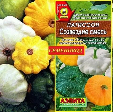 Патиссон Созвездие – купить в интернет-магазине OZON по низкой цене