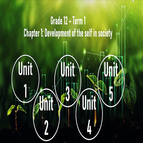 Grade Development Of The Self In Society Chapter Term