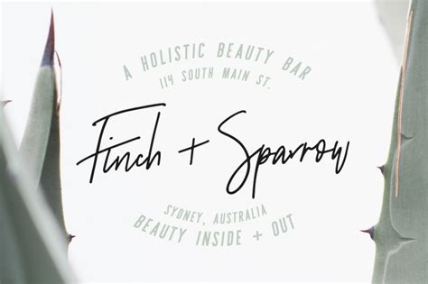 Sydney Font Duo 12 Free Logos By Jenwagnerco Thehungryjpeg