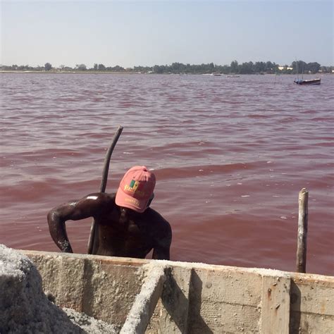 Pink Lake Senegal 💐 - xXxx