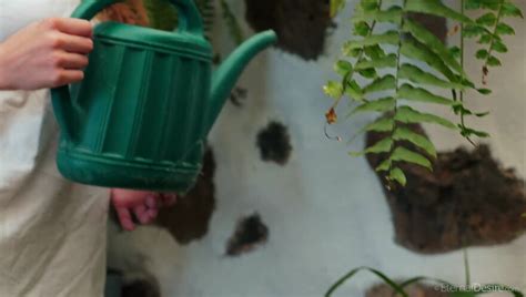 Mila Azul Leau Eternal Desire Scene Porn Pic