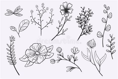 Flower Leaves Doodle Hand Drawn Vector Illustration Set Stock