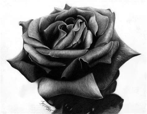 Black Rose by Esteljf on DeviantArt Rose Drawing Tattoo, Heart Drawing ...