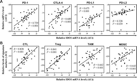 Up‐regulation Of Indoleamine 23‐dioxygenase 1 Ido1 Expression And