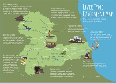 Illustrated-map-of-catchment - Tyne Rivers Trust