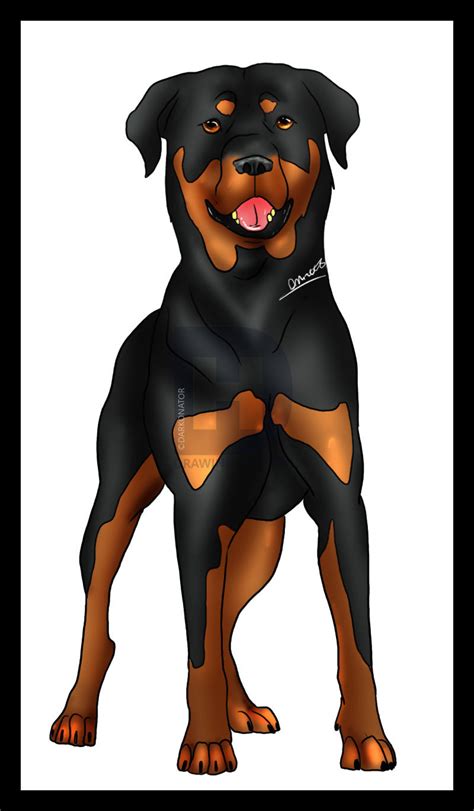 Rottweiler Drawing | Free download on ClipArtMag