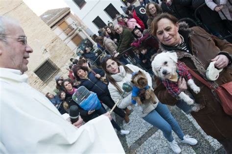 Page Fiestas Miciudadreal Es Diario Digital Ciudadano De La