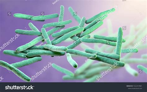 Mycobacterium Leprae Bacteria Causative Agent Leprosy 스톡 일러스트 1522257881 Shutterstock