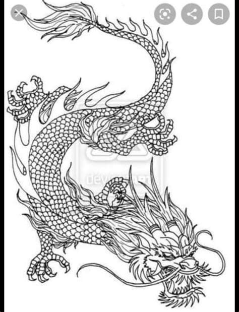 A Drawing Of A Dragon In Black And White