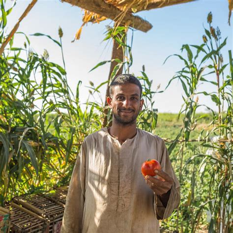 Agriculture and Food Security | Egypt | Photo Galleries | U.S. Agency ...