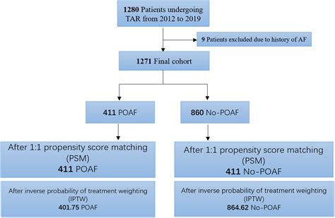 NewOnset Postoperative Atrial Fibrillation After Total Arch Repair Is