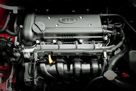 Какой автомобиль лучше: Skoda Octavia или Kia Rio