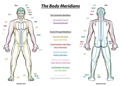 Traditional Chinese Medicine Medical Traditions In China Tcm