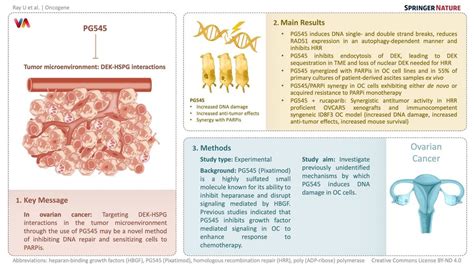 Pixatimod Pg545 A Promising Step Towards Overcoming Parp Inhibitor