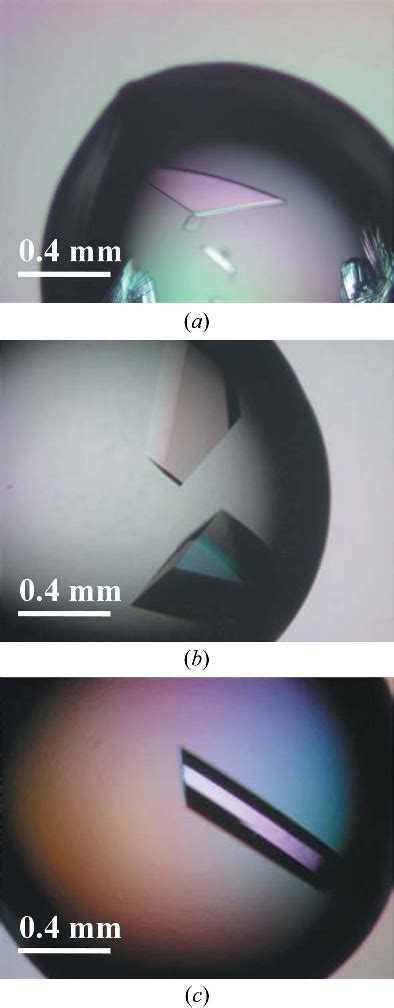 Figure From Diffraction Structural Biology Synchrotron Radiation