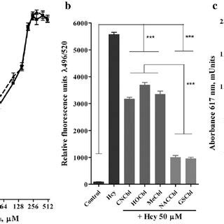 Thiolatocobalamins Protect Huvecs From The Effects Of Hcy A Huvecs