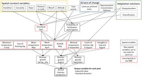 Simplified Representation Of The Bayesian Belief Network Graph Braces Download Scientific