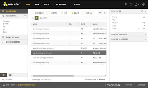 DNS Resource Records Micetro By Men Mice 10 5 Documentation