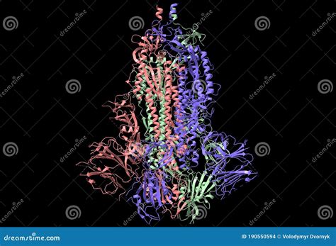 Three-dimensional Structure of the SARS-CoV-2 Spike Glycoprotein Stock ...