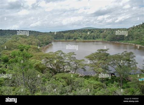 Crater Lake in Naivasha, Rift Valley, Kenya Stock Photo - Alamy