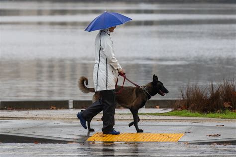 Rain returns to the San Francisco Bay Space forecast - DAILY SAN ...