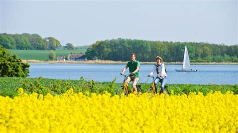 Schlei Radtouren Zwischen Schleswig Und Ostsee Ndr De Ratgeber