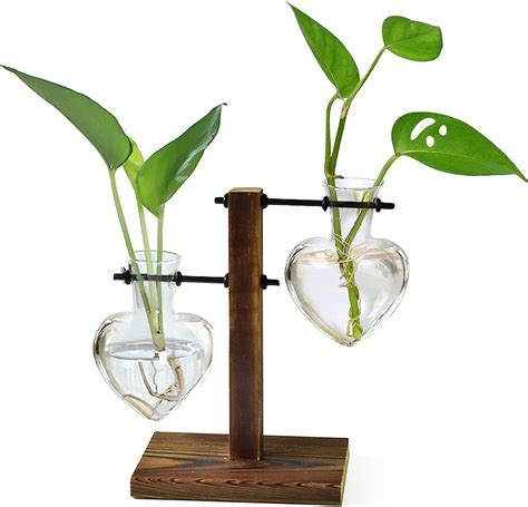 Huabei Plant Terrarium Wooden Stand Air Planter Bulb Glass Vase Metal Swivel Holder Retro