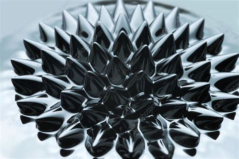 Ferrofluid In A Magnetic Field Stock Image C0297198 Science