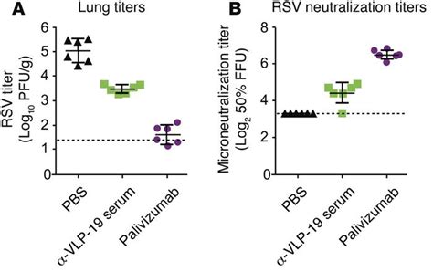 Jci Palivizumab Epitopedisplaying Virus Like Particles Protect