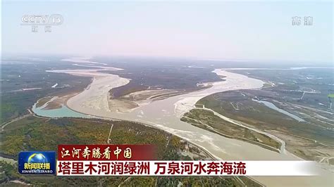 江河奔腾看中国丨塔里木河润绿洲 万泉河水奔海流 国际在线移动版