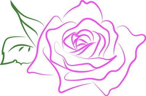 Pink rose drawing, illustration, vector on white background. 13722533 ...