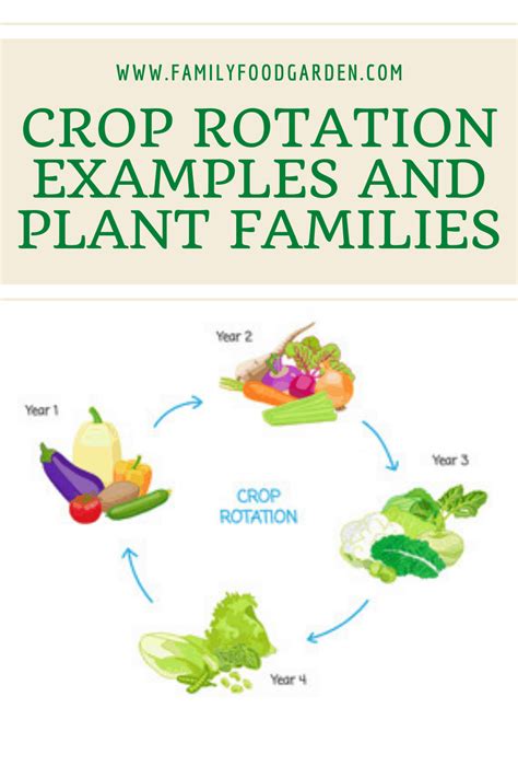 There Are A Couple Of Different Options For How You Practice Crop