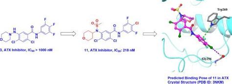 Qsar Bioorganic Chemistry X Mol