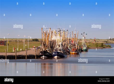 Krabben Sie Kutter in den Hafen Greetsiel Leybucht Krummhörn