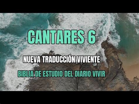 Cantares Ntv Biblia De Estudio Del Diario Vivir Biblia